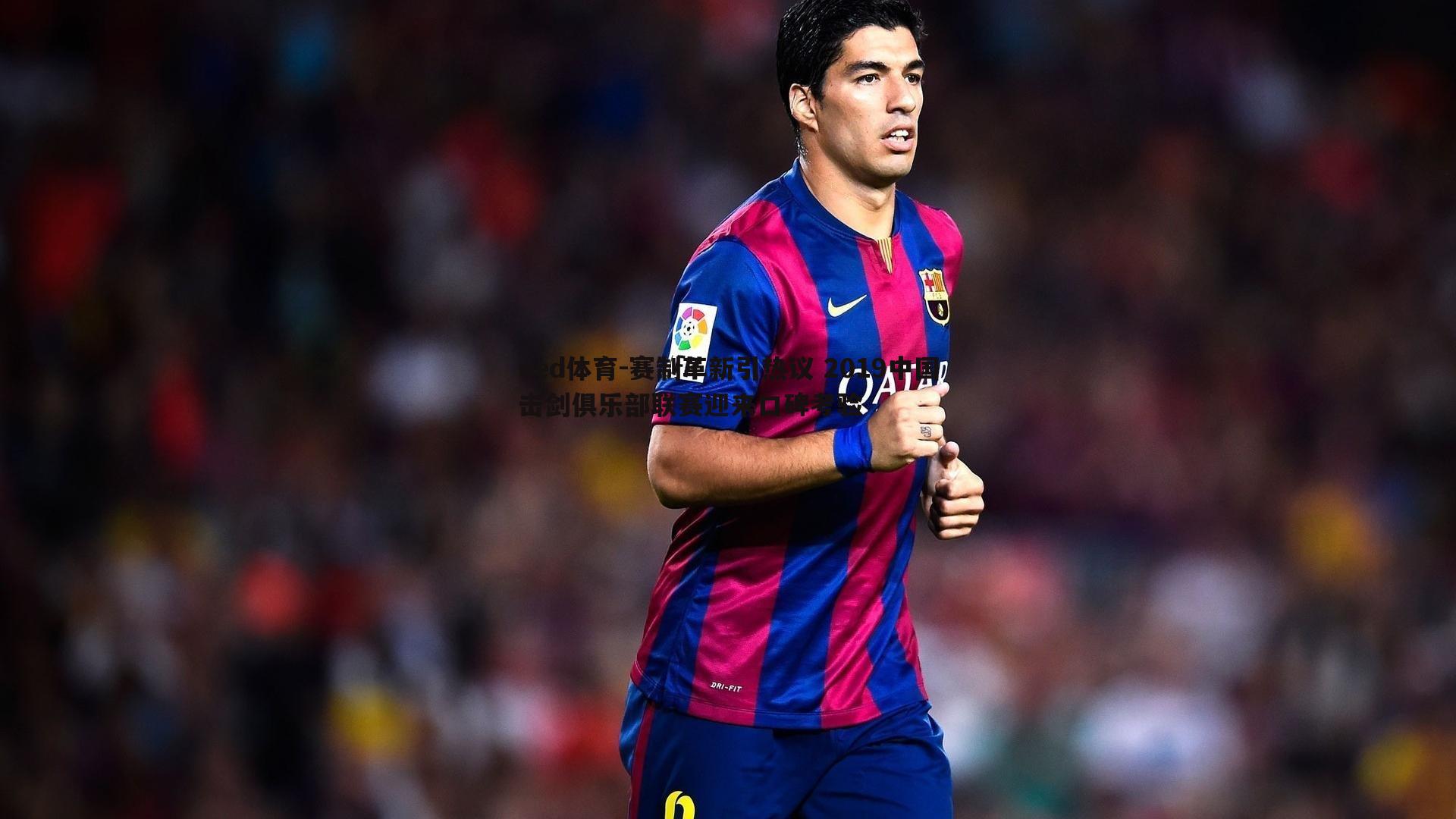 赛制革新引热议 2019中国击剑俱乐部联赛迎来口碑考验