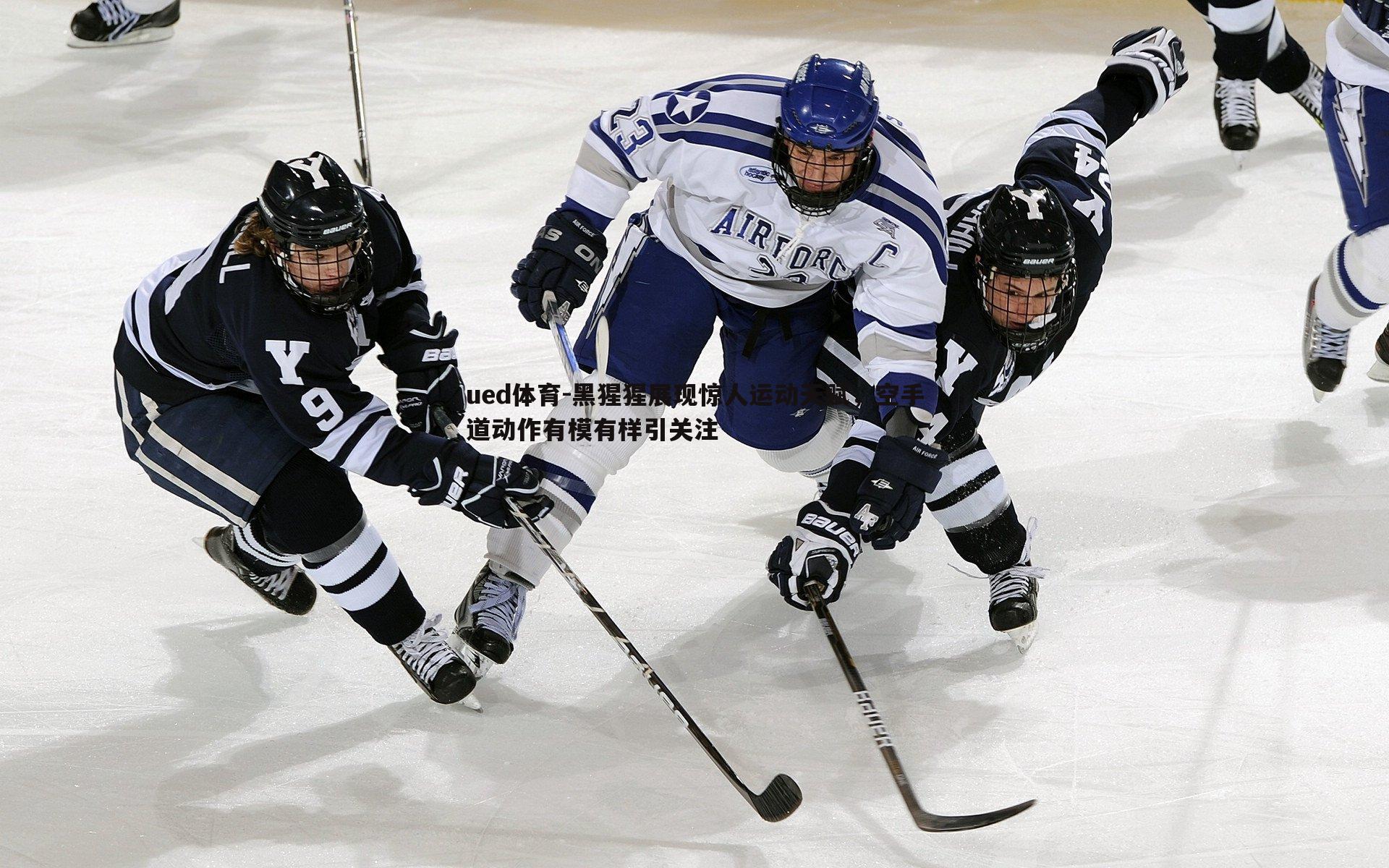 黑猩猩展现惊人运动天赋，空手道动作有模有样引关注